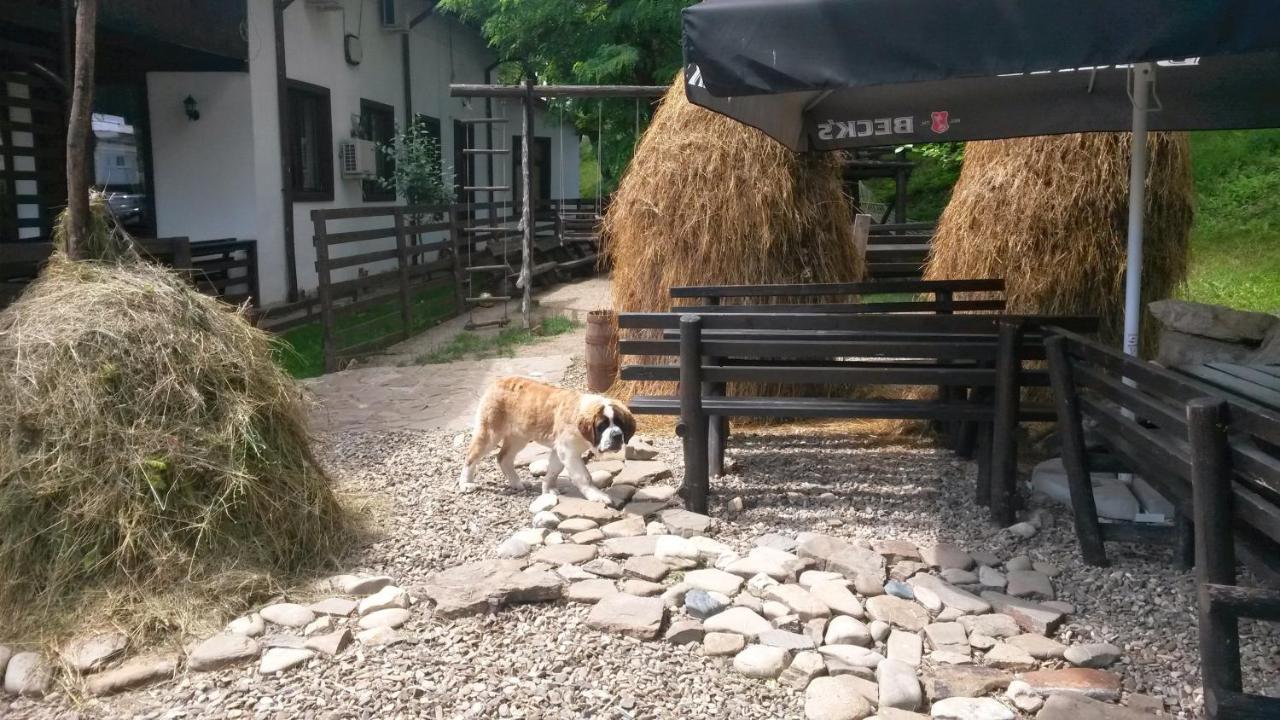 Pension Casa Drumetului Piatra Neamţ Eksteriør billede