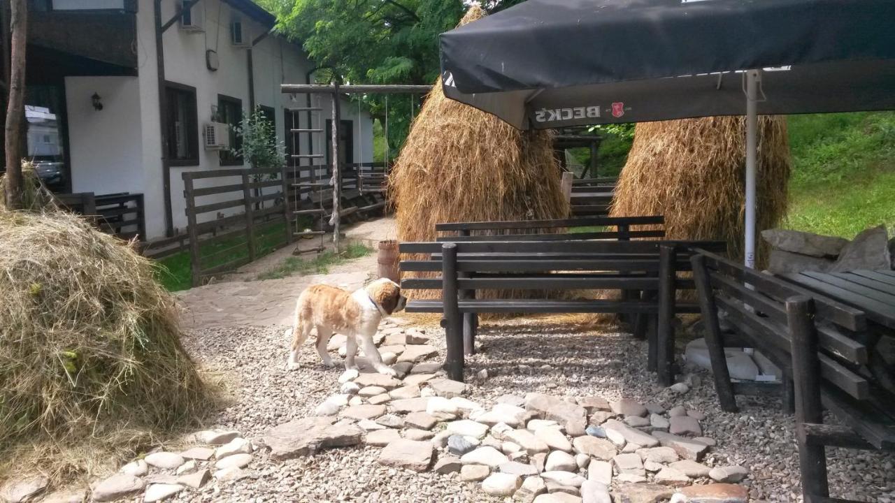 Pension Casa Drumetului Piatra Neamţ Eksteriør billede
